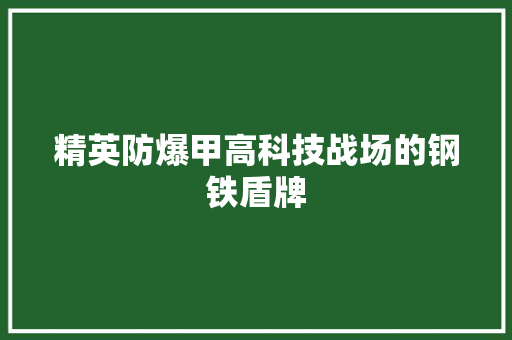 精英防爆甲高科技战场的钢铁盾牌