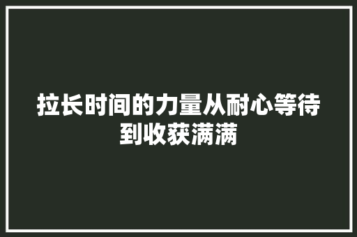 拉长时间的力量从耐心等待到收获满满