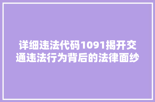 详细违法代码1091揭开交通违法行为背后的法律面纱