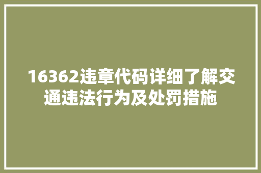 16362违章代码详细了解交通违法行为及处罚措施  第1张