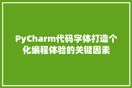 PyCharm代码字体打造个化编程体验的关键因素