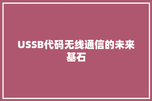 USSB代码无线通信的未来基石