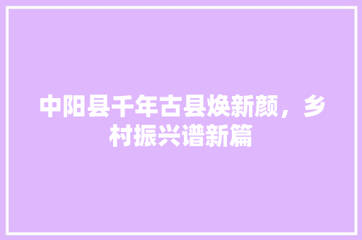 中阳县千年古县焕新颜，乡村振兴谱新篇  第1张