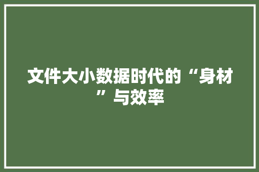 文件大小数据时代的“身材”与效率  第1张