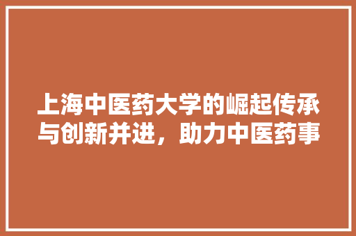 上海中医药大学的崛起传承与创新并进，助力中医药事业繁荣发展