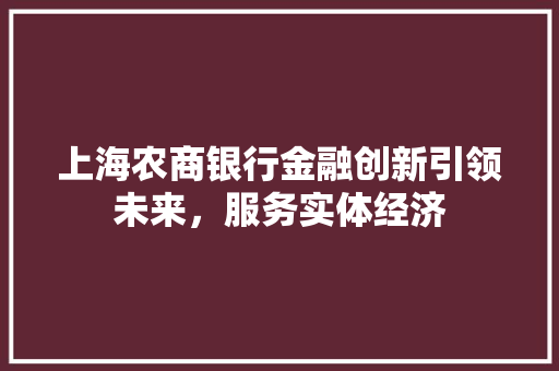 上海农商银行金融创新引领未来，服务实体经济