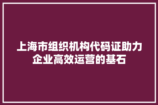 上海市组织机构代码证助力企业高效运营的基石