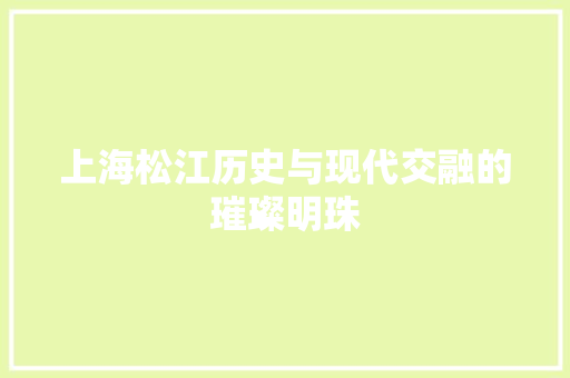上海松江历史与现代交融的璀璨明珠
