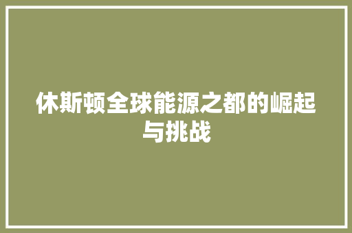 休斯顿全球能源之都的崛起与挑战