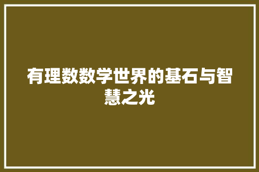 有理数数学世界的基石与智慧之光