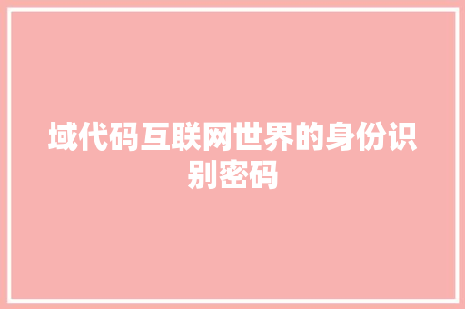 域代码互联网世界的身份识别密码