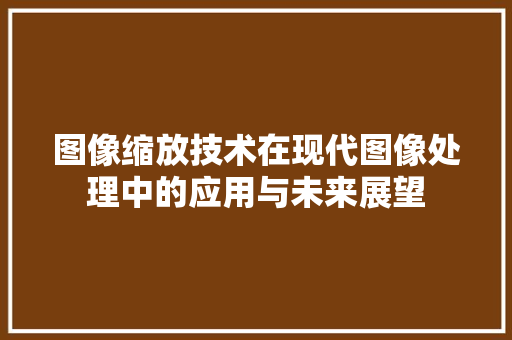 图像缩放技术在现代图像处理中的应用与未来展望