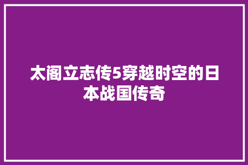 太阁立志传5穿越时空的日本战国传奇  第1张
