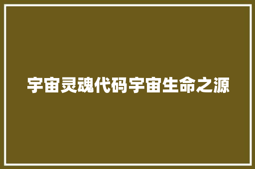 宇宙灵魂代码宇宙生命之源