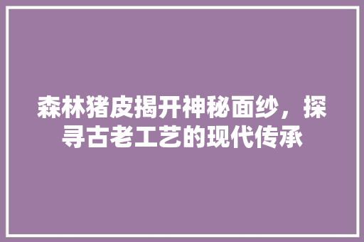 森林猪皮揭开神秘面纱，探寻古老工艺的现代传承