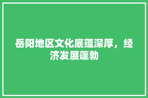 岳阳地区文化底蕴深厚，经济发展蓬勃  第1张