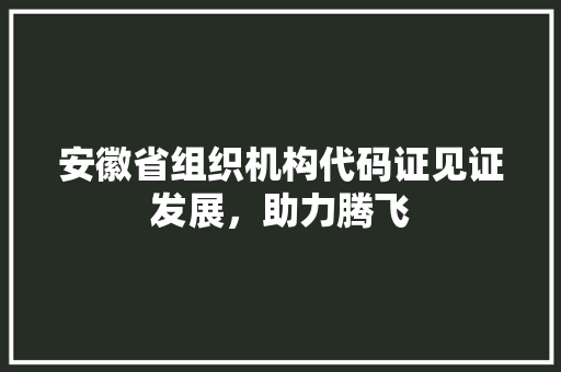 安徽省组织机构代码证见证发展，助力腾飞