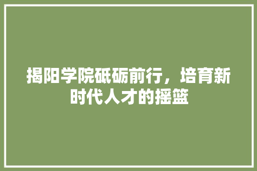 揭阳学院砥砺前行，培育新时代人才的摇篮