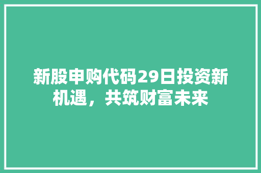 新股申购代码29日投资新机遇，共筑财富未来