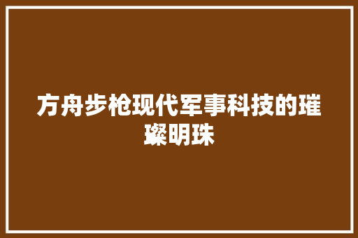 方舟步枪现代军事科技的璀璨明珠
