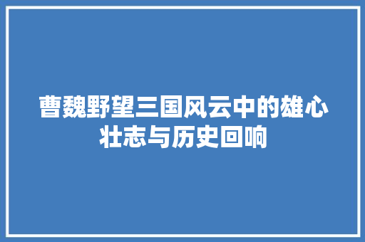 曹魏野望三国风云中的雄心壮志与历史回响