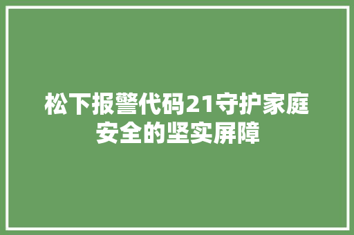 松下报警代码21守护家庭安全的坚实屏障