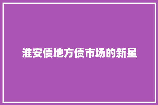 淮安债地方债市场的新星