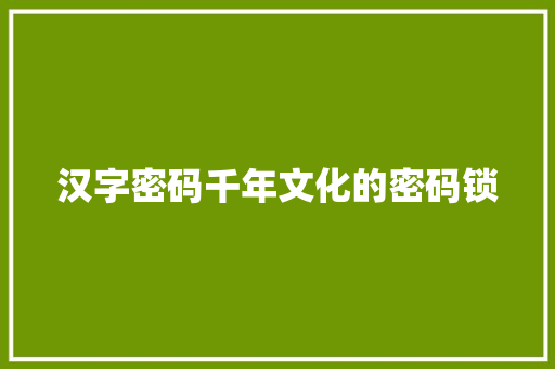 汉字密码千年文化的密码锁