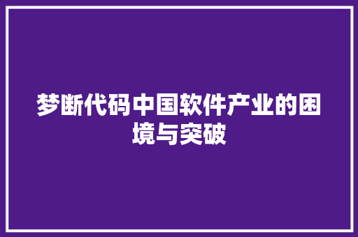 梦断代码中国软件产业的困境与突破