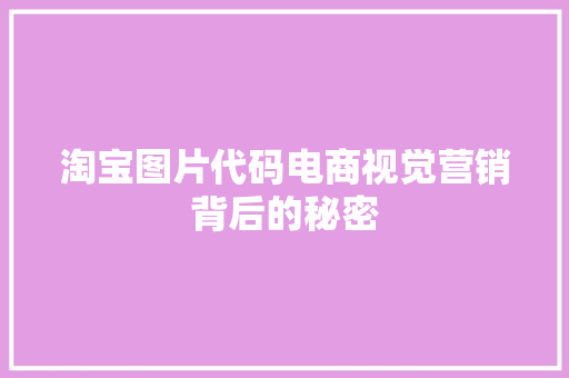 淘宝图片代码电商视觉营销背后的秘密