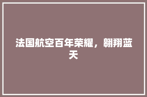 法国航空百年荣耀，翱翔蓝天