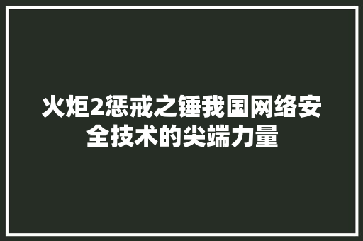 火炬2惩戒之锤我国网络安全技术的尖端力量  第1张