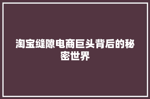 淘宝缝隙电商巨头背后的秘密世界  第1张