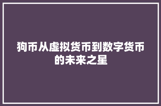 狗币从虚拟货币到数字货币的未来之星