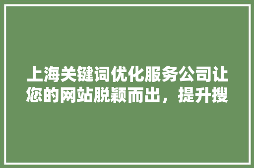 上海关键词优化服务公司让您的网站脱颖而出，提升搜索引擎排名