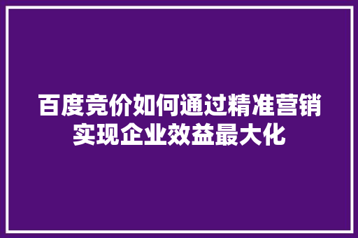百度竞价如何通过精准营销实现企业效益最大化  第1张